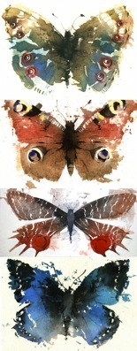 4butterflies copy.jpeg