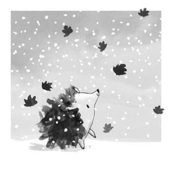 cally johnson-issacs-cal0214-snowy hedgehog.jpg