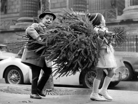 chldren carrying home christmas tree paris 1961 0851548.jpg