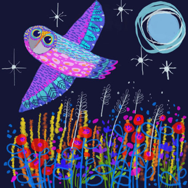 claire west-cwe0161-stary night with owl.jpeg.jpg