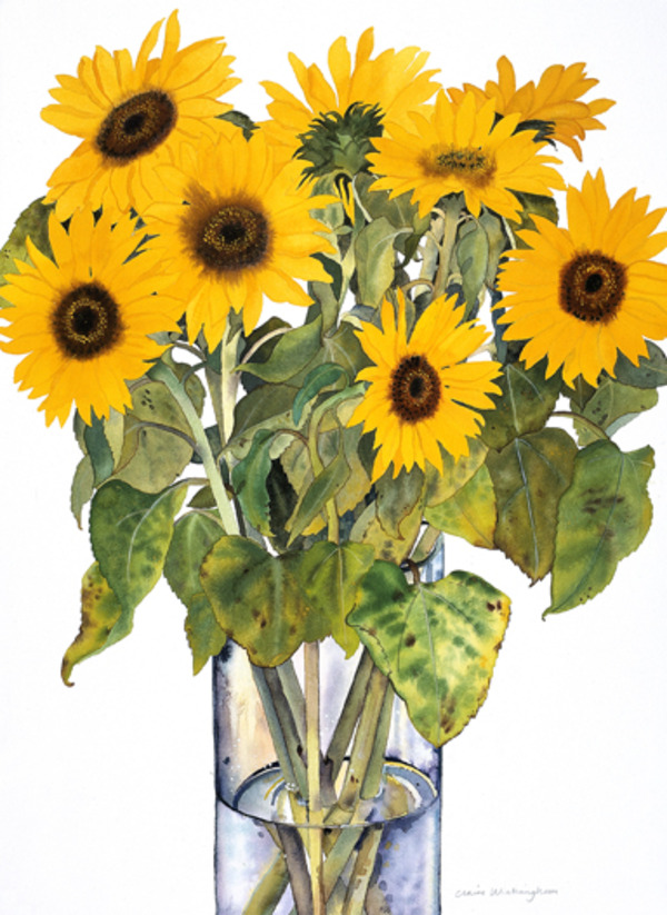 claire winteringham-win0304_strong sunflowers.jpg
