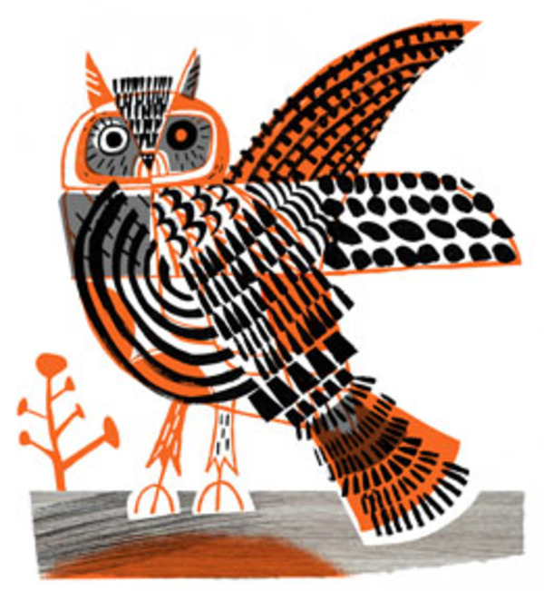 gma0183-orange owl.jpg