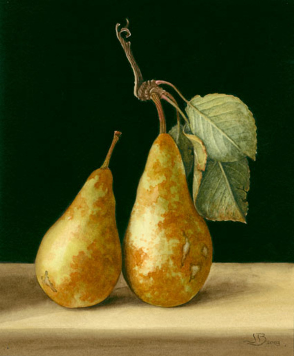 jnb0017-pears 211x256.jpg