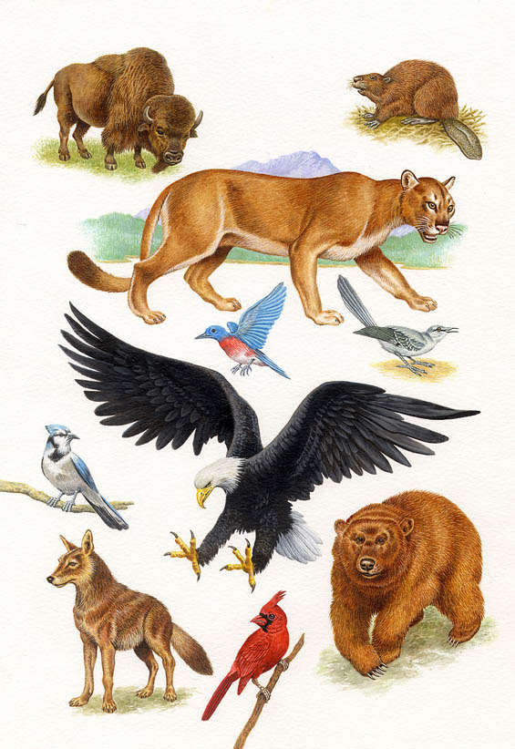 yellow house art licensing - animals, birds & wildlife - Philip Hood - native  american 