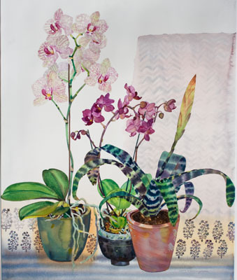 orchids and aechmea.jpg