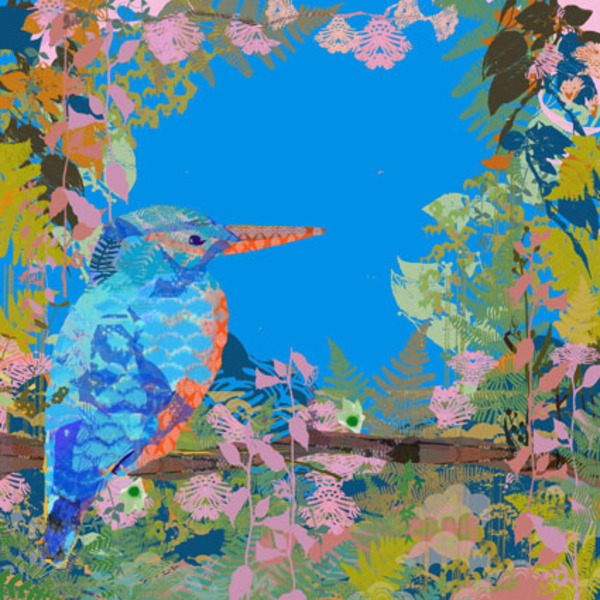 tfl0373-kingfisher blue .jpg