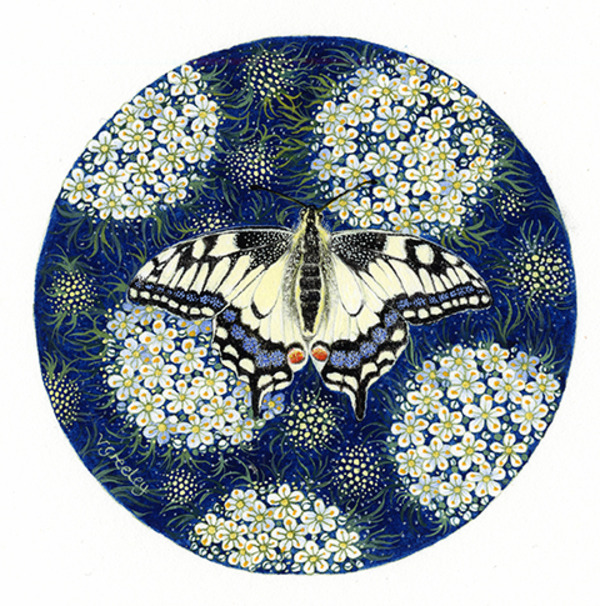 valerie greeley vg1014-a round swallowtail-fr.jpg