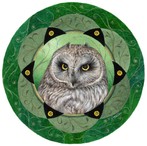valerie greeley-vg0959-a-short eared owl.jpg
