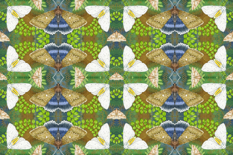 valerie greeley-vg0973- moths tile.jpg