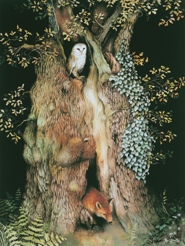 vg0077-oak tree owl and fox.jpg-plgusa.jpg
