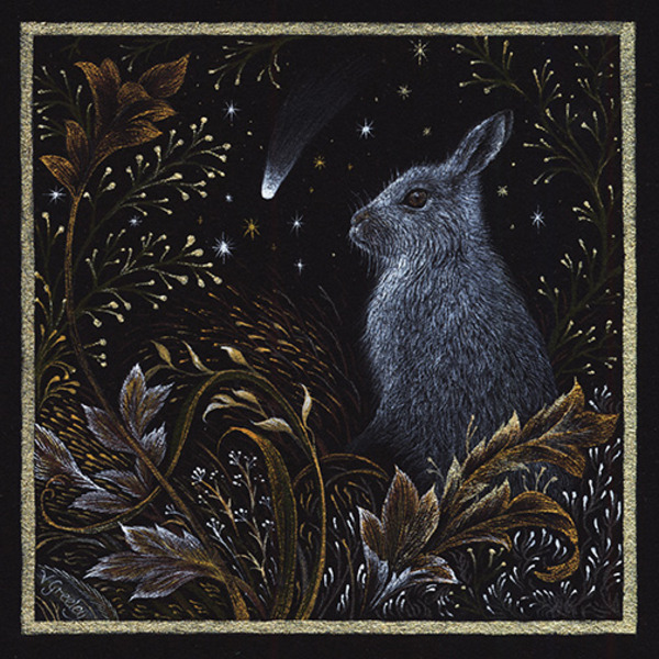 vg1036 tfhra mountain hare with comet.jpg
