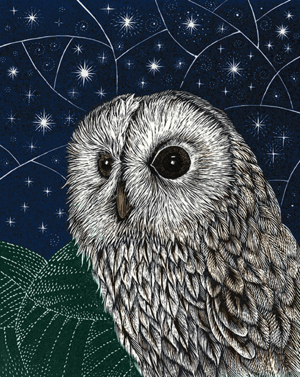 vg1044 tfhra tawny owl wood engraving colour.jpg