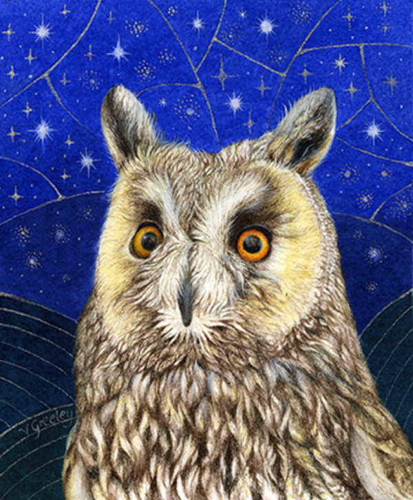 vg1045 tfhra long eared owl.jpg